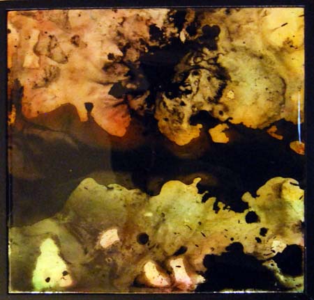 Cycos_12x12in