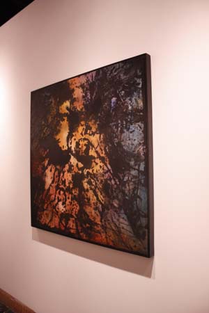 Vela_48x48in