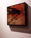 Sinius_12x12in