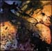 Siren_48x48in